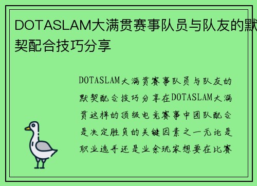 DOTASLAM大满贯赛事队员与队友的默契配合技巧分享