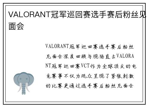VALORANT冠军巡回赛选手赛后粉丝见面会